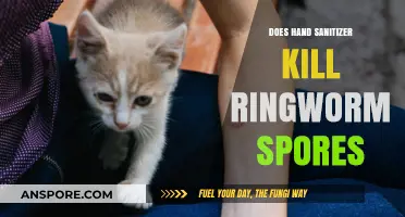 Hand Sanitizer vs. Ringworm Spores: Does It Effectively Kill Them?