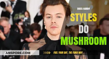 Harry Styles and His Mushroom Trip