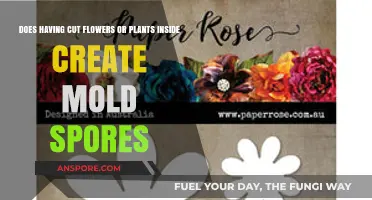 Cut Flowers Indoors: Unveiling the Mold Spore Connection and Prevention Tips