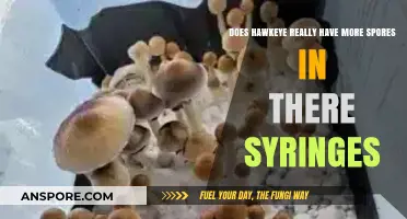 Hawkeye's Syringes: Unveiling the Truth About Spores Inside