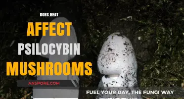 How Heat Impacts Magic Mushrooms