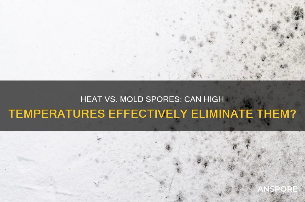 does heat destroy mold spores
