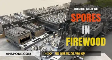 Heat Treatment: Can It Eliminate Mold Spores in Firewood?