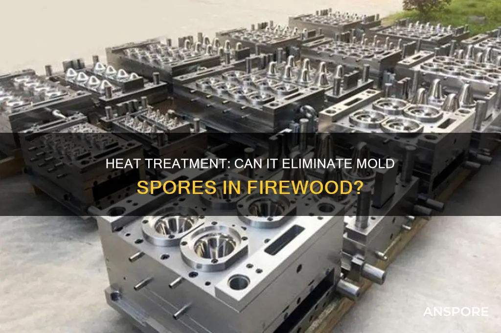 does heat kill mold spores in firewood