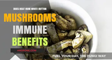 Heat and Mushrooms: Destroying or Enhancing Immunity?