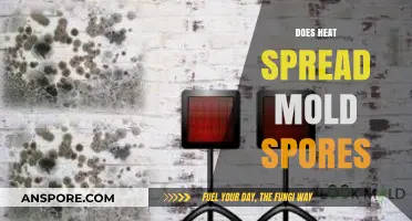 Heat's Impact on Mold Spores: Does Warmth Encourage Their Spread?