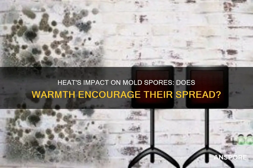 does heat spread mold spores