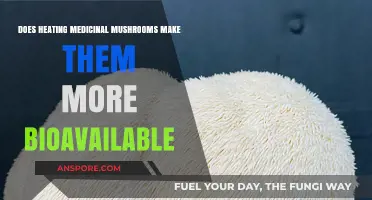Heating Medicinal Mushrooms: Enhancing Bioavailability or Diminishing Benefits?