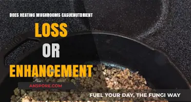 Heating Mushrooms: Nutrient Loss or Gain?