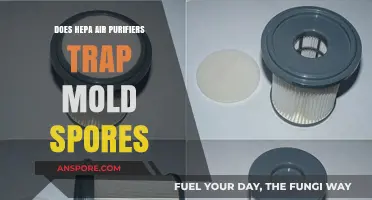 Do HEPA Air Purifiers Effectively Trap Mold Spores? Find Out