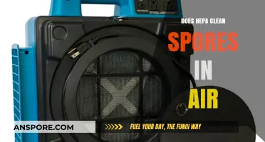 Can HEPA Filters Effectively Remove Mold Spores from Indoor Air?