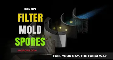 Can HEPA Filters Effectively Capture and Remove Mold Spores from Air?