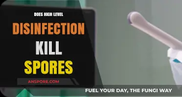High-Level Disinfection: Can It Effectively Eliminate Spores in Healthcare Settings?