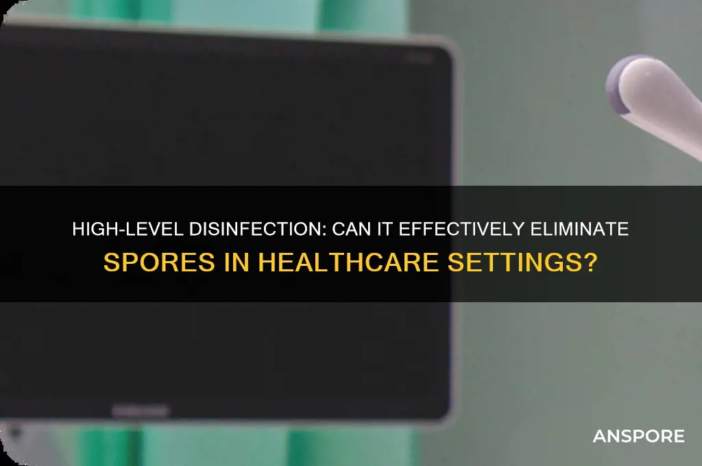does high level disinfection kill spores