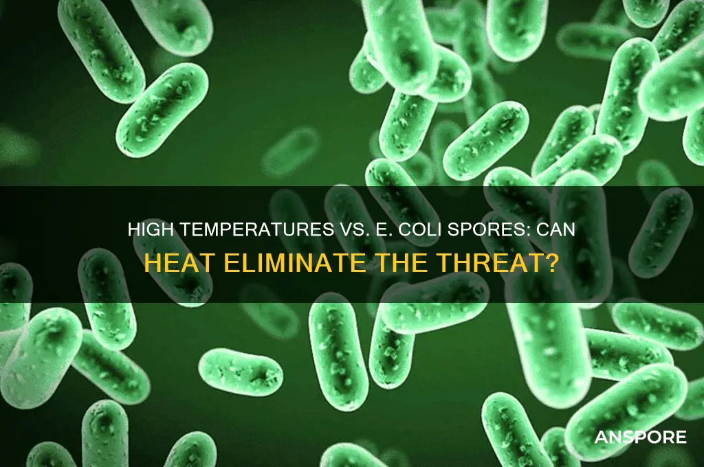 does high temperature kill e coli spores