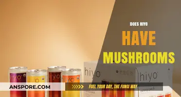 Hiyo's Mushroom Mystery: What's the Deal?