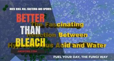 HOCl vs Bleach: Which Disinfectant Kills Bacteria and Spores Better?