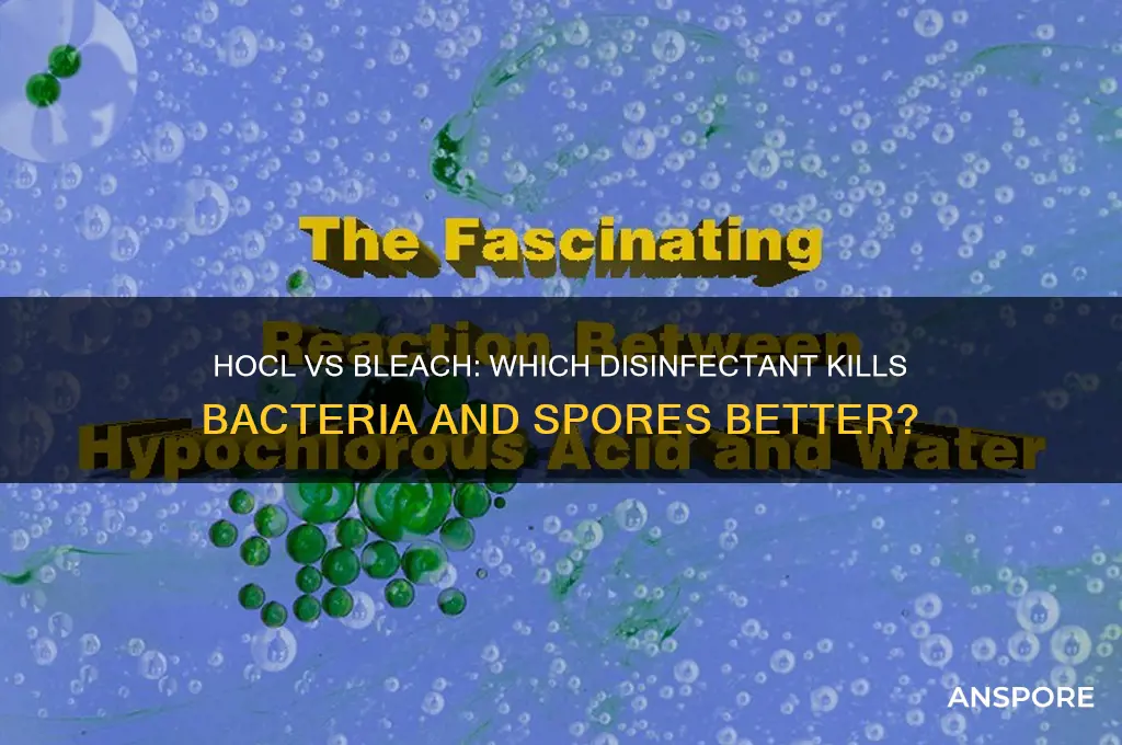does hocl kill bacteria and spores better than bleach
