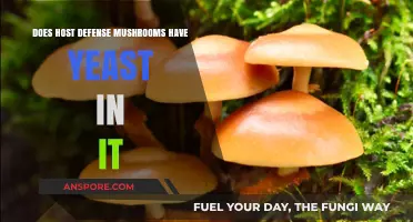 Host Defense Mushrooms: Are Yeast and Fungi Friends?