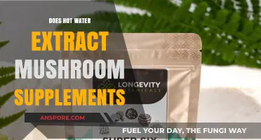 Hot Water Extraction: Maximizing Mushroom Supplements