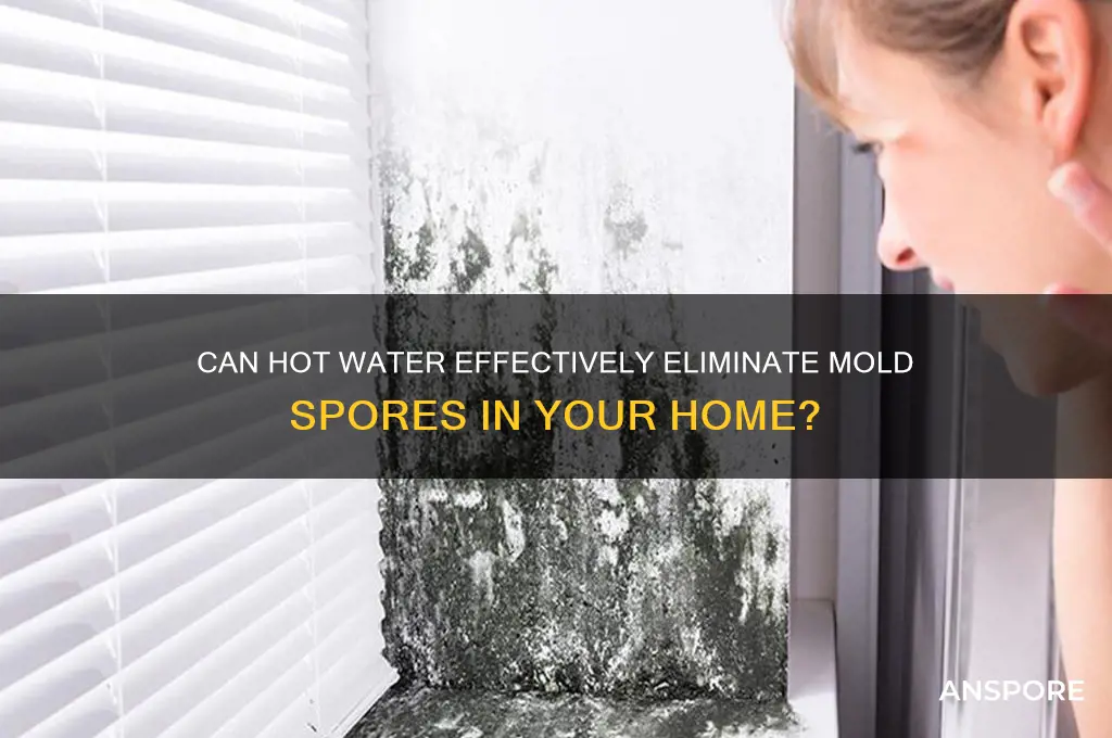 does hot water kill mold spores