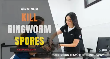 Hot Water vs. Ringworm Spores: Effective Treatment or Myth?