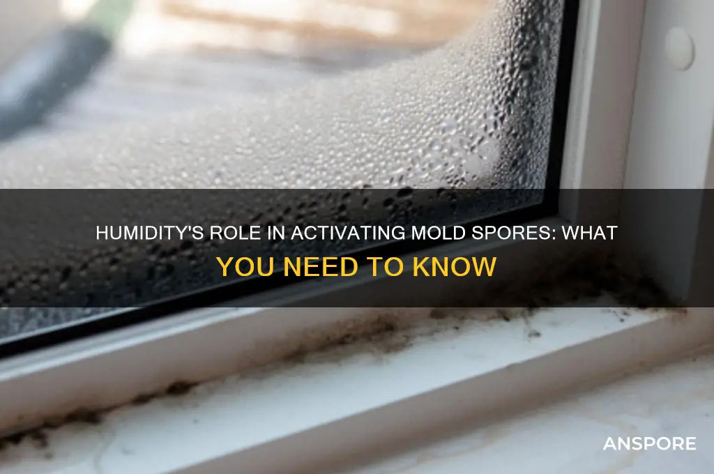 does humidity activate mold spores