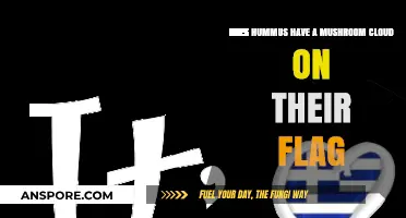 Hummus and Nuclear War: Flag Symbolism