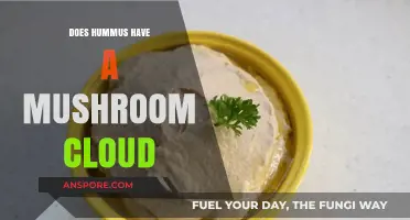 Hummus: Mushroom Cloud or Delicious Dip?