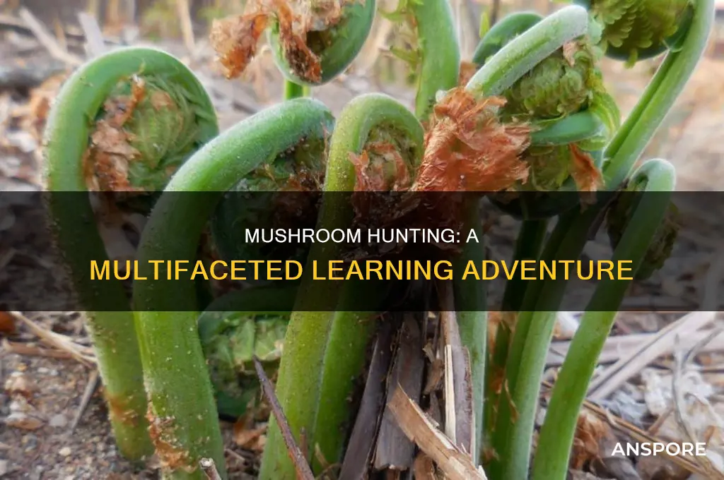 does hunting mushrooms support 3 kinds of learning