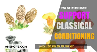 Mushroom Hunting: A Classical Conditioning Adventure