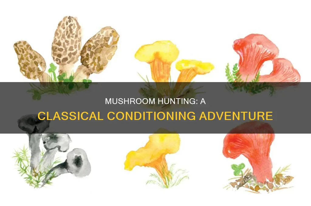 does hunting mushrooms support classical conditioning