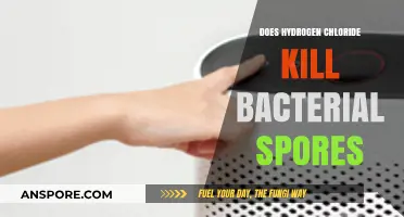 Hydrogen Chloride's Efficacy Against Bacterial Spores: A Comprehensive Analysis