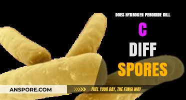 Hydrogen Peroxide's Effectiveness Against C. Diff Spores: What Research Shows