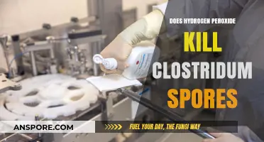 Hydrogen Peroxide's Efficacy Against Clostridium Spores: A Comprehensive Analysis