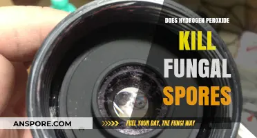 Hydrogen Peroxide's Effectiveness Against Fungal Spores: What You Need to Know