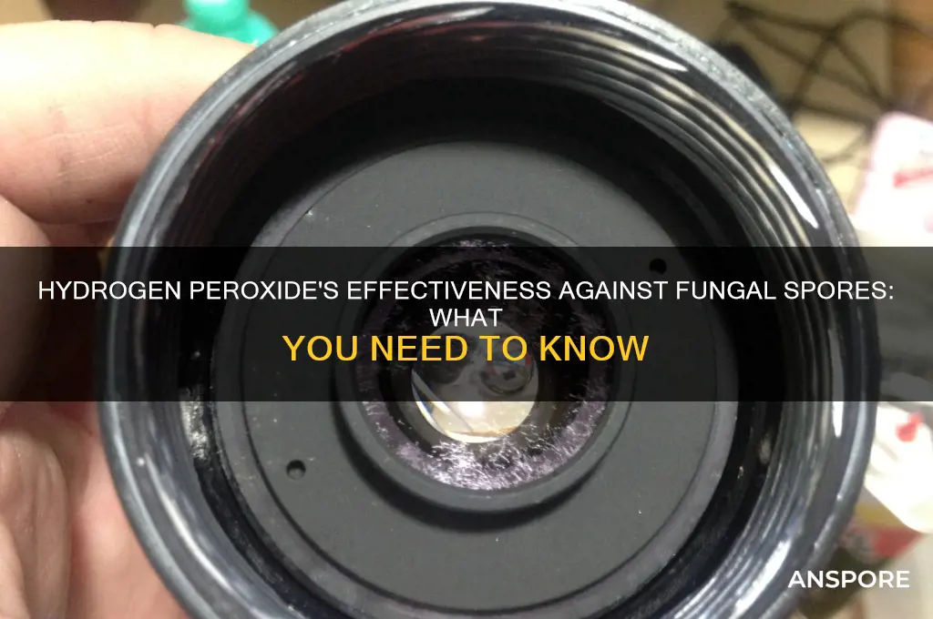 does hydrogen peroxide kill fungal spores