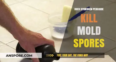 Hydrogen Peroxide's Power: Can It Effectively Kill Mold Spores?