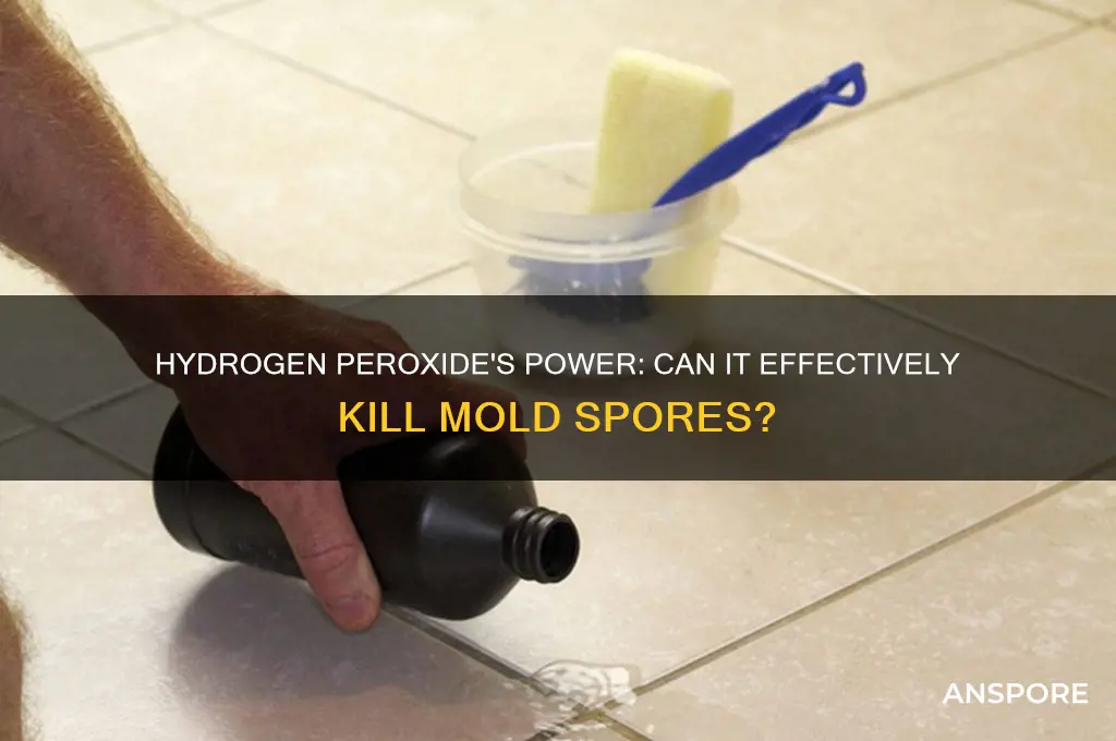 does hydrogen peroxide kill mold spores