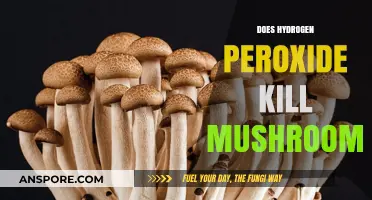 Hydrogen Peroxide vs Mushrooms: Effective Killer or Myth?