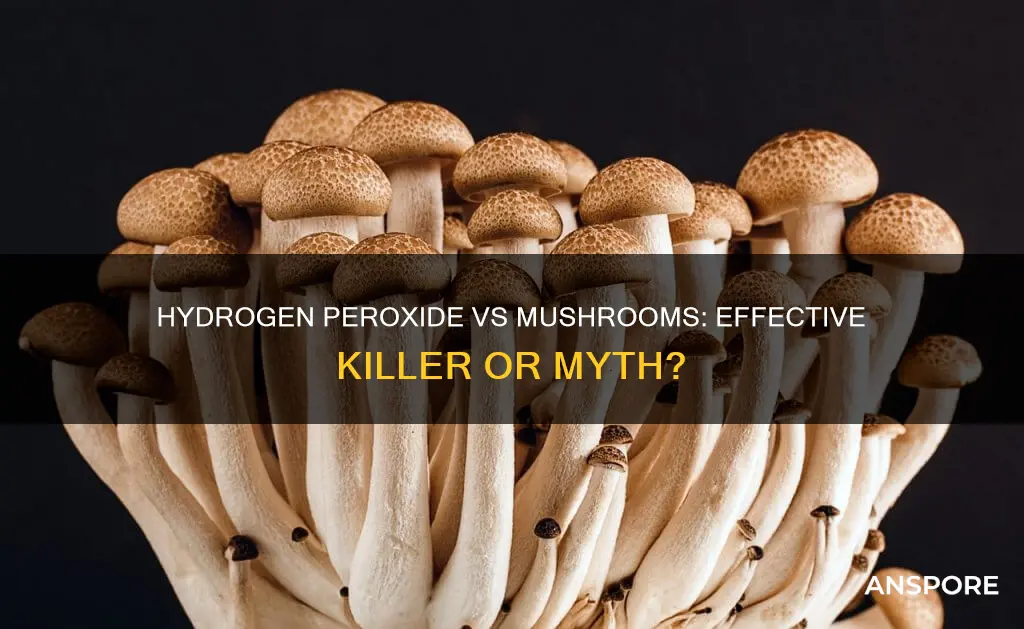 does hydrogen peroxide kill mushrooms