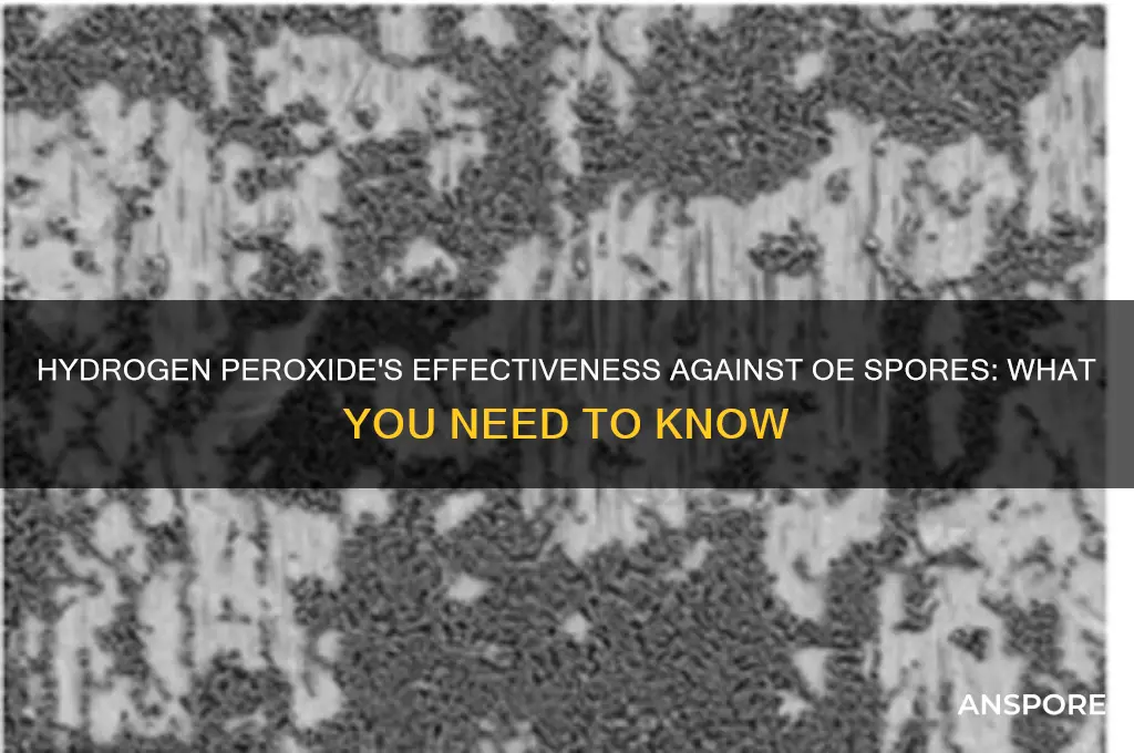 does hydrogen peroxide kill oe spores