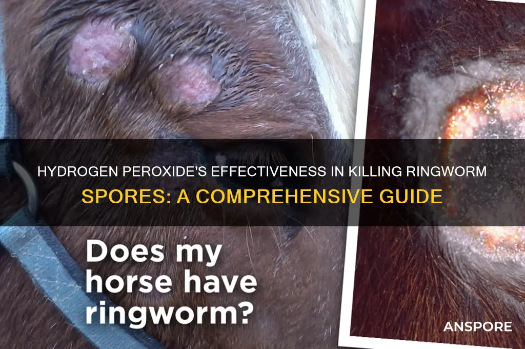 does hydrogen peroxide kill ringworm spores