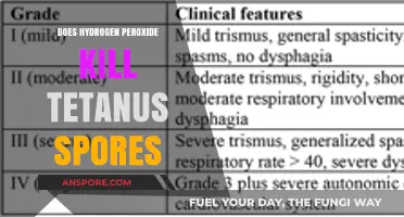 Hydrogen Peroxide's Effectiveness Against Tetanus Spores: Fact or Fiction?