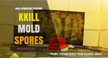 Hydrogen Peroxide's Power: Can It Effectively Kill Mold Spores?