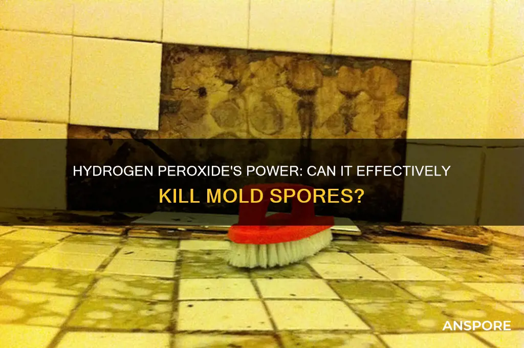 does hydrogen peroxide kkill mold spores