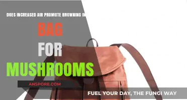 Air and Browning: The Mushroom Bag Conundrum