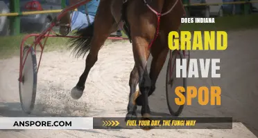 Does Indiana Grand Offer Sports Betting? A Comprehensive Guide