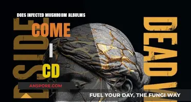 Infected Mushroom Albums: Are CDs Available?