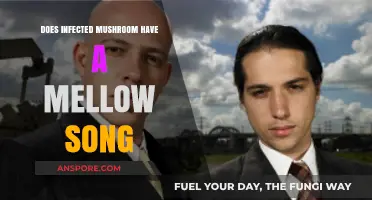 Infected Mushroom: Exploring Their Mellow Side